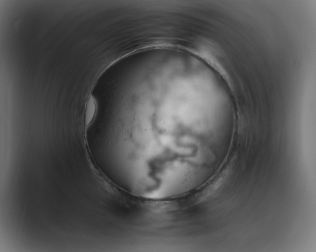 X0000089370953200706291245