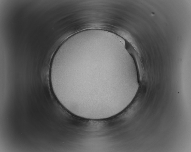 X0000089370954200706291245