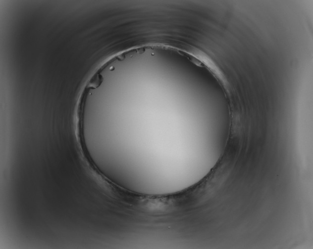 X0000089370955200706291245