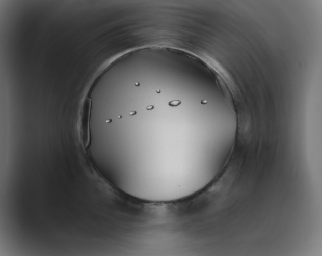 X0000089370956200706291245