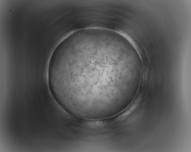 X0000089370957200706291245