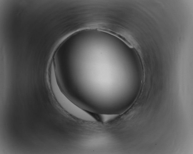 X0000089370960200706291245