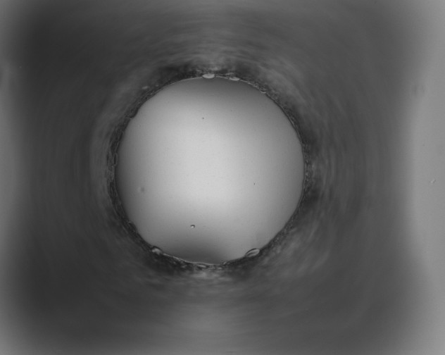 X0000089370961200706291244
