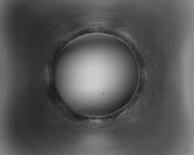 X0000089370965200706291244