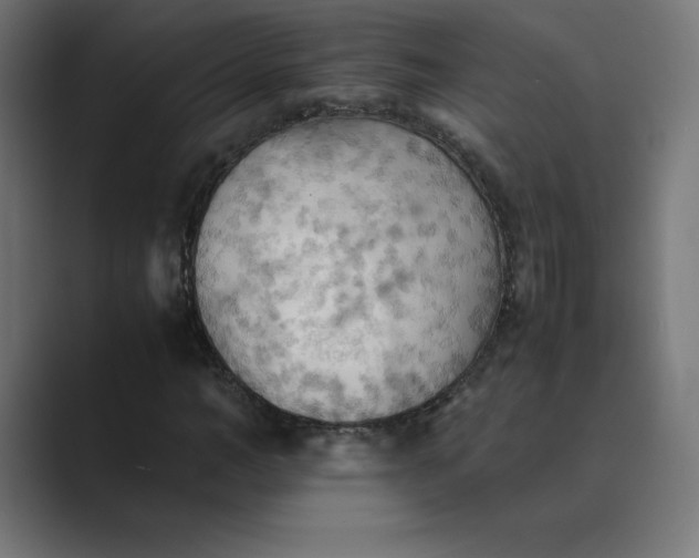 X0000089370966200706291244