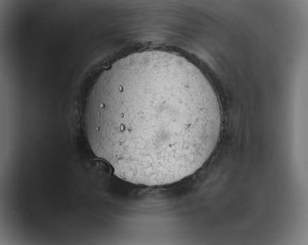 X0000089370967200706291244