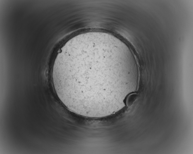 X0000089370971200706291244
