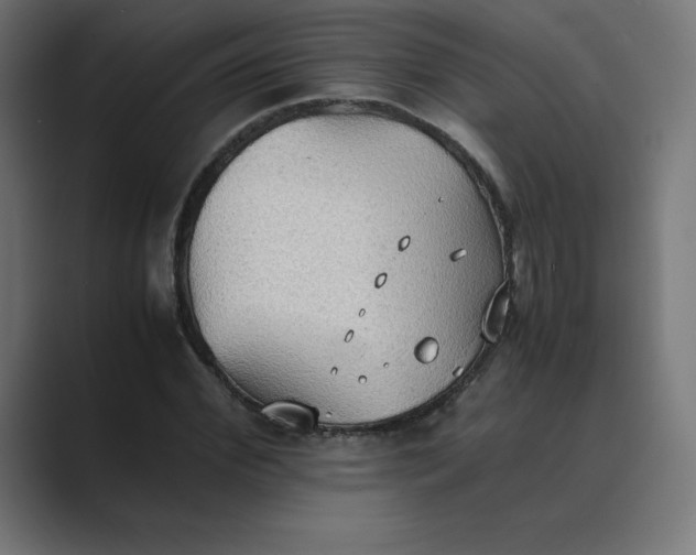 X0000089370972200706291244