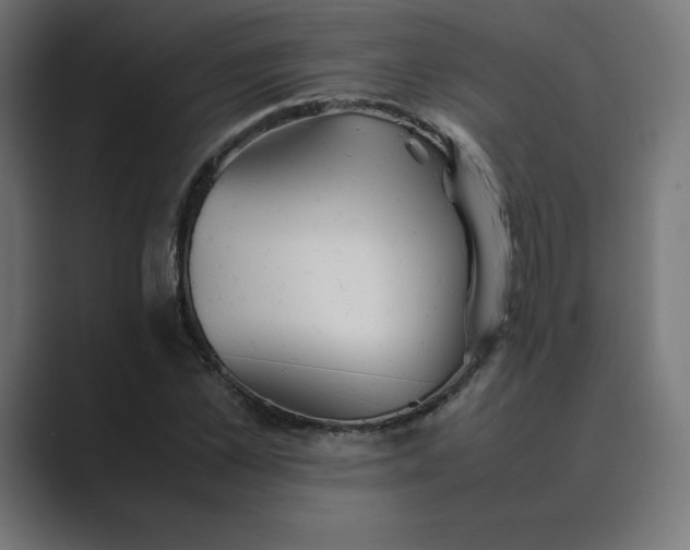 X0000089370973200706291244