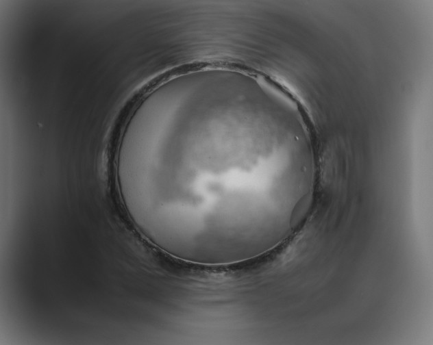 X0000089370975200706291244