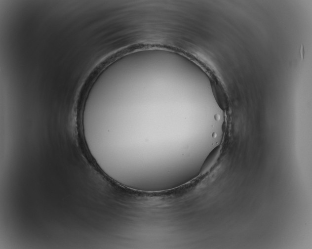 X0000089370976200706291244