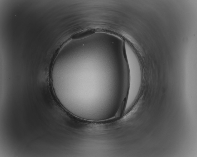 X0000089370977200706291244