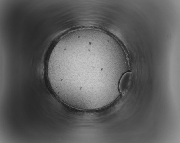 X0000089370979200706291244