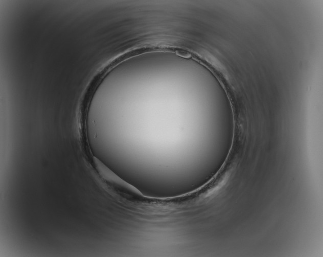 X0000089370981200706291244