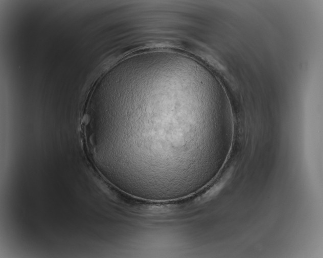 X0000089370985200706291244