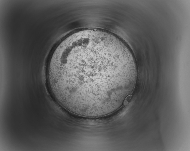 X0000089370987200706291244