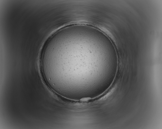 X0000089370989200706291244