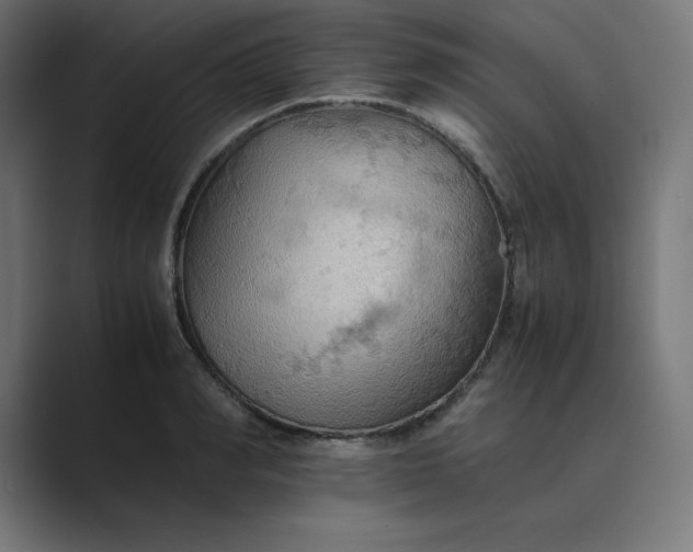 X0000089370990200706291244