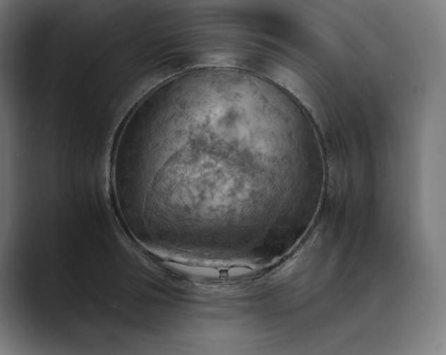 X0000089370994200706291244