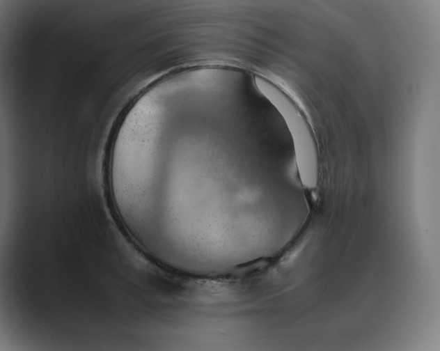 X0000089370995200706291244