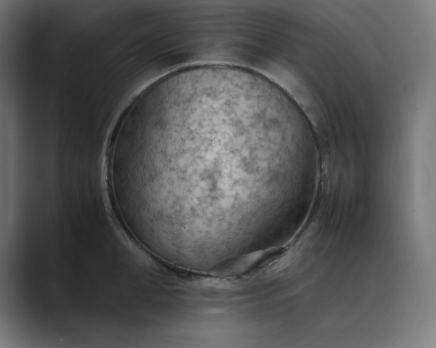 X0000089370998200706291244