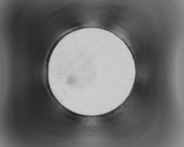 X0000089371000200706291244