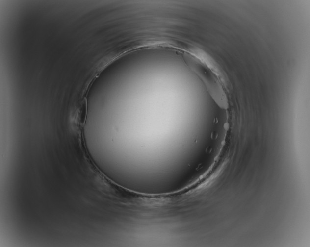 X0000089371001200706291244