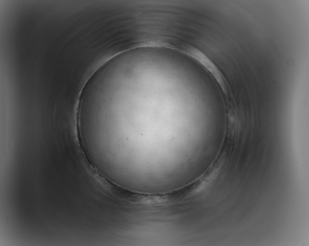 X0000089371002200706291244