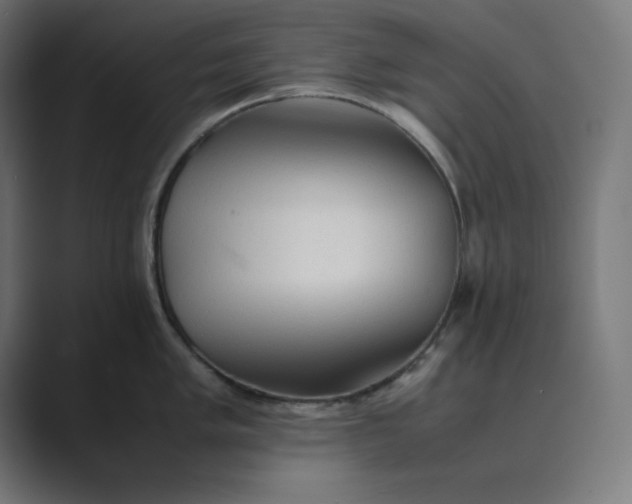 X0000089371005200706291244