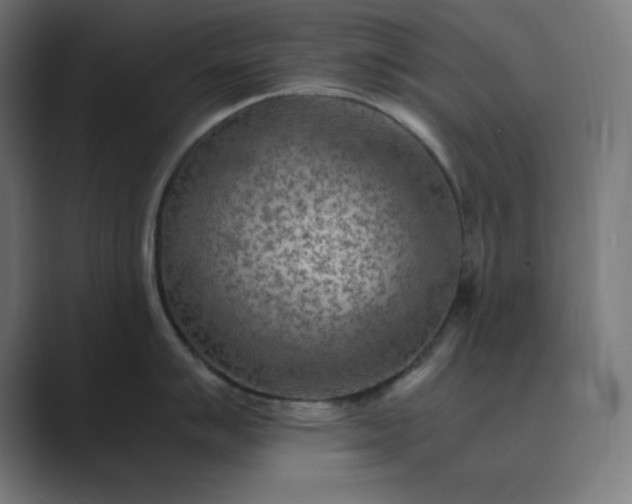X0000089371007200706291244