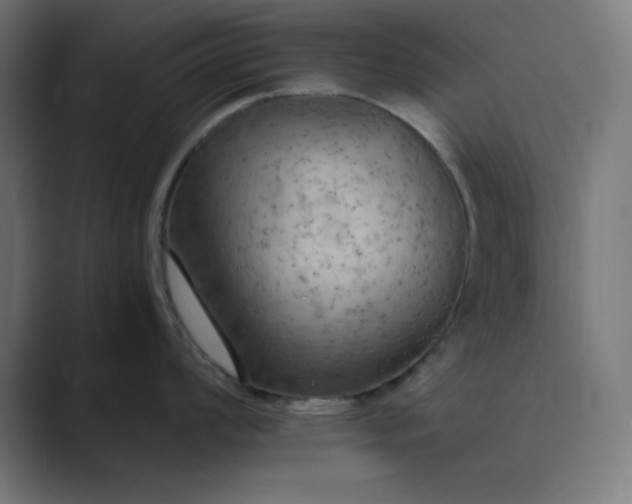 X0000089371008200706291244