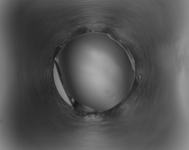 X0000089371010200706291243