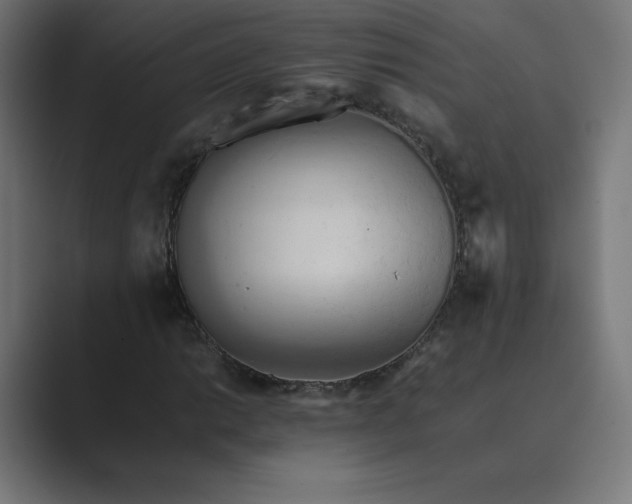 X0000089371014200706291243