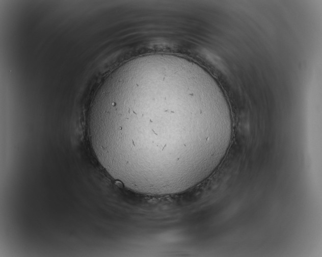 X0000089371015200706291243