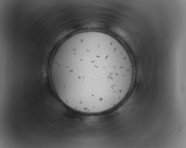 X0000089371017200706291243