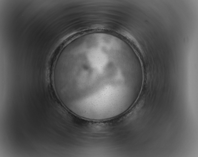 X0000089371019200706291243