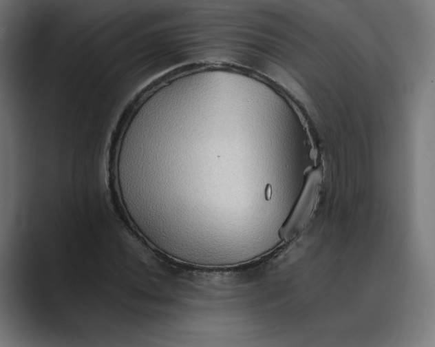 X0000089371020200706291243