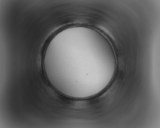X0000089371021200706291243