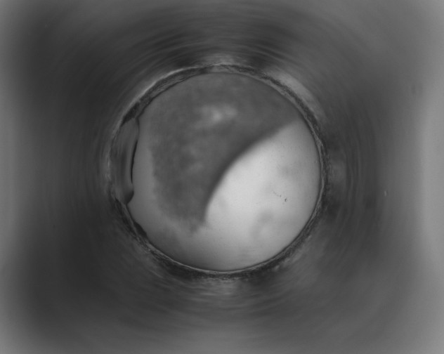 X0000089371023200706291243