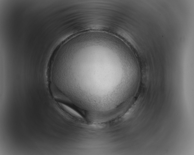 X0000089371026200706291243