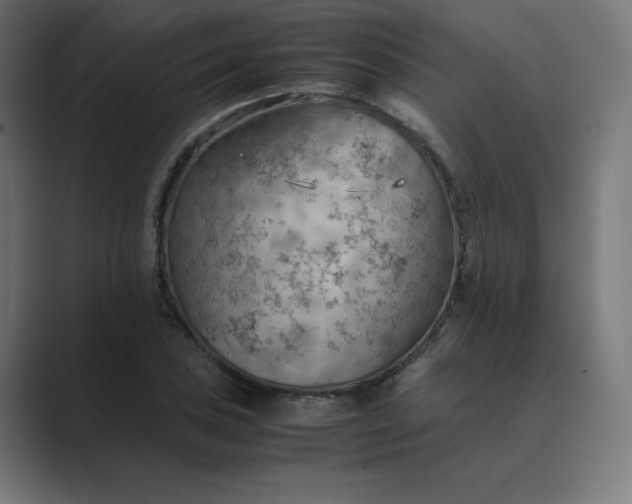 X0000089371027200706291243