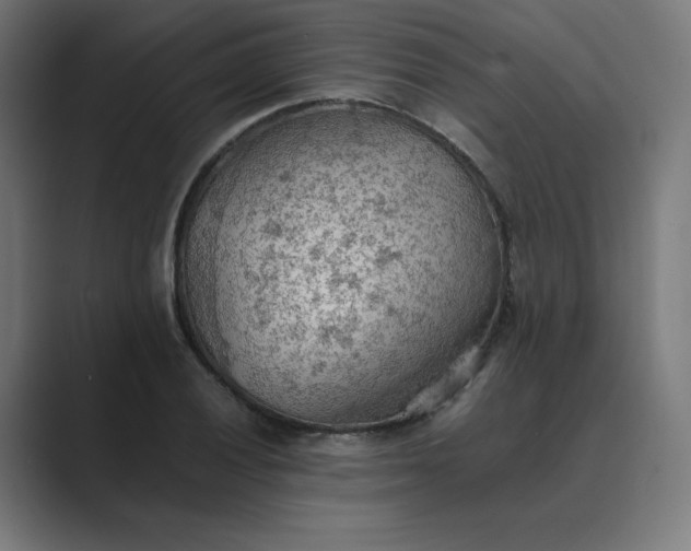X0000089371028200706291243