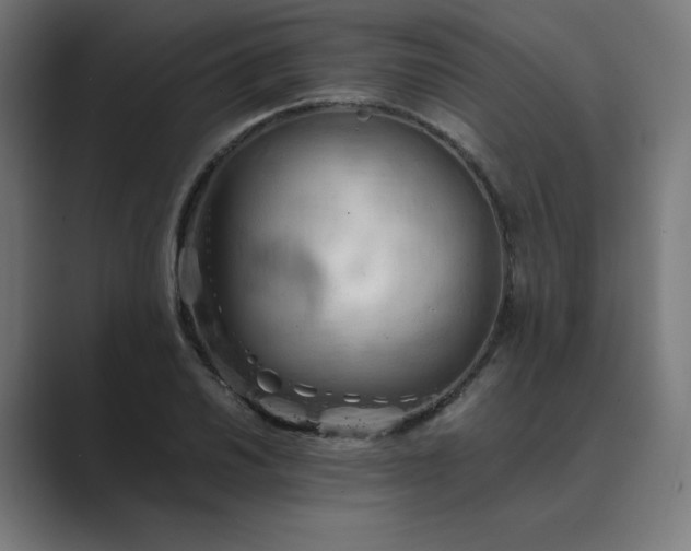 X0000089371030200706291243