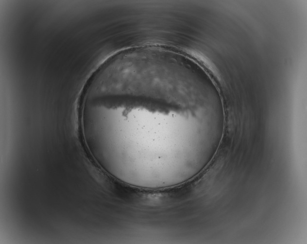 X0000089371031200706291243