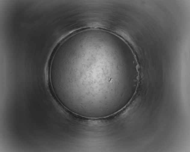 X0000089371032200706291243