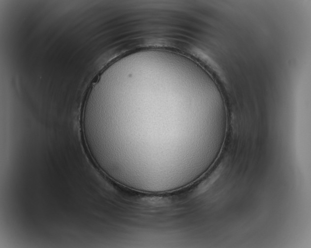 X0000089371033200706291243