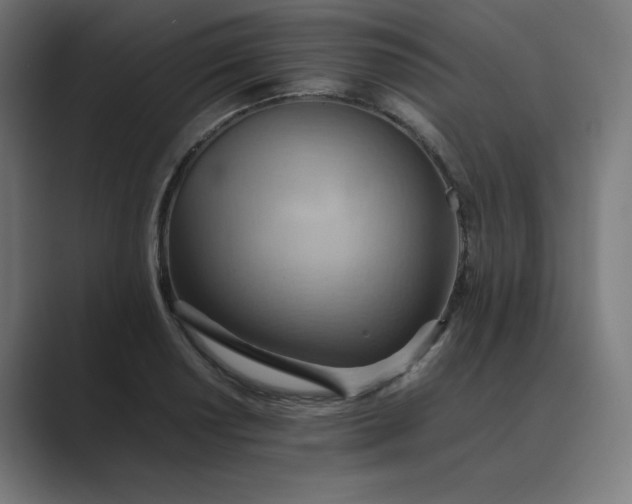 X0000089371034200706291243