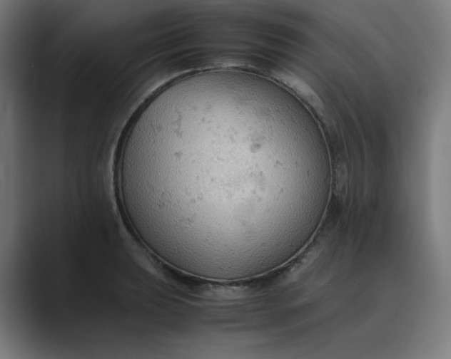 X0000089371039200706291243