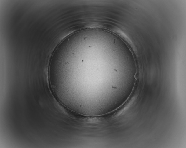X0000089371041200706291243