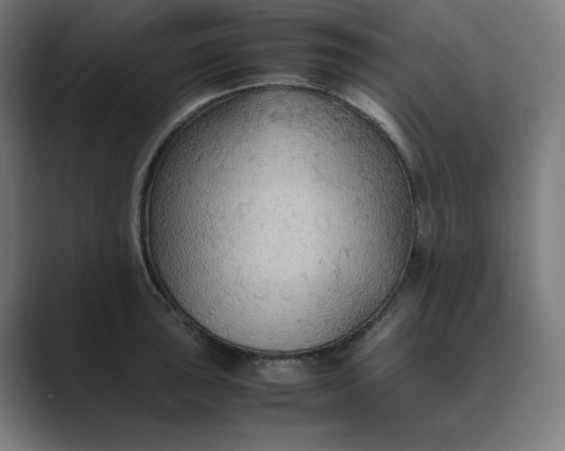 X0000089371043200706291244